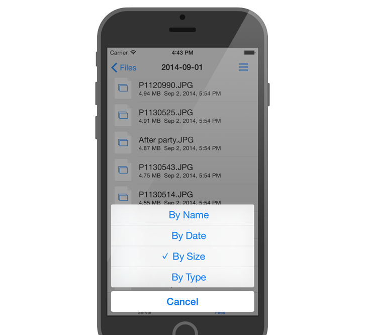 GoodSync Explorer for iOS